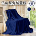 【Hilton 希爾頓】仿皮草兔絨蓋毯