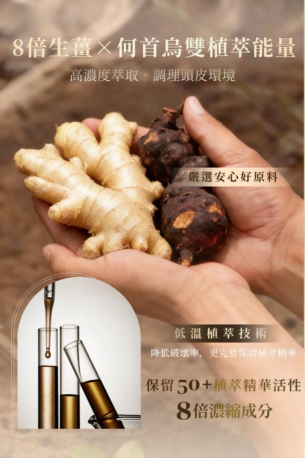台灣鉑菲 Perfect Skin 健髮元素洗髮精 500ML (國際版）