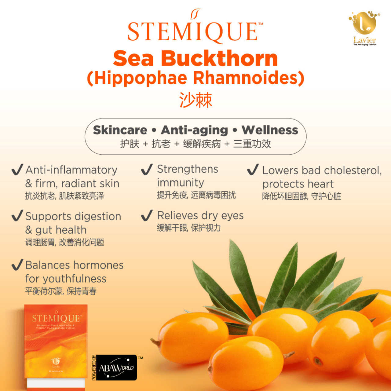 Stemique (新品）(一盒30条）