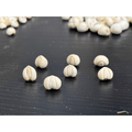 頂級野生川貝 25g