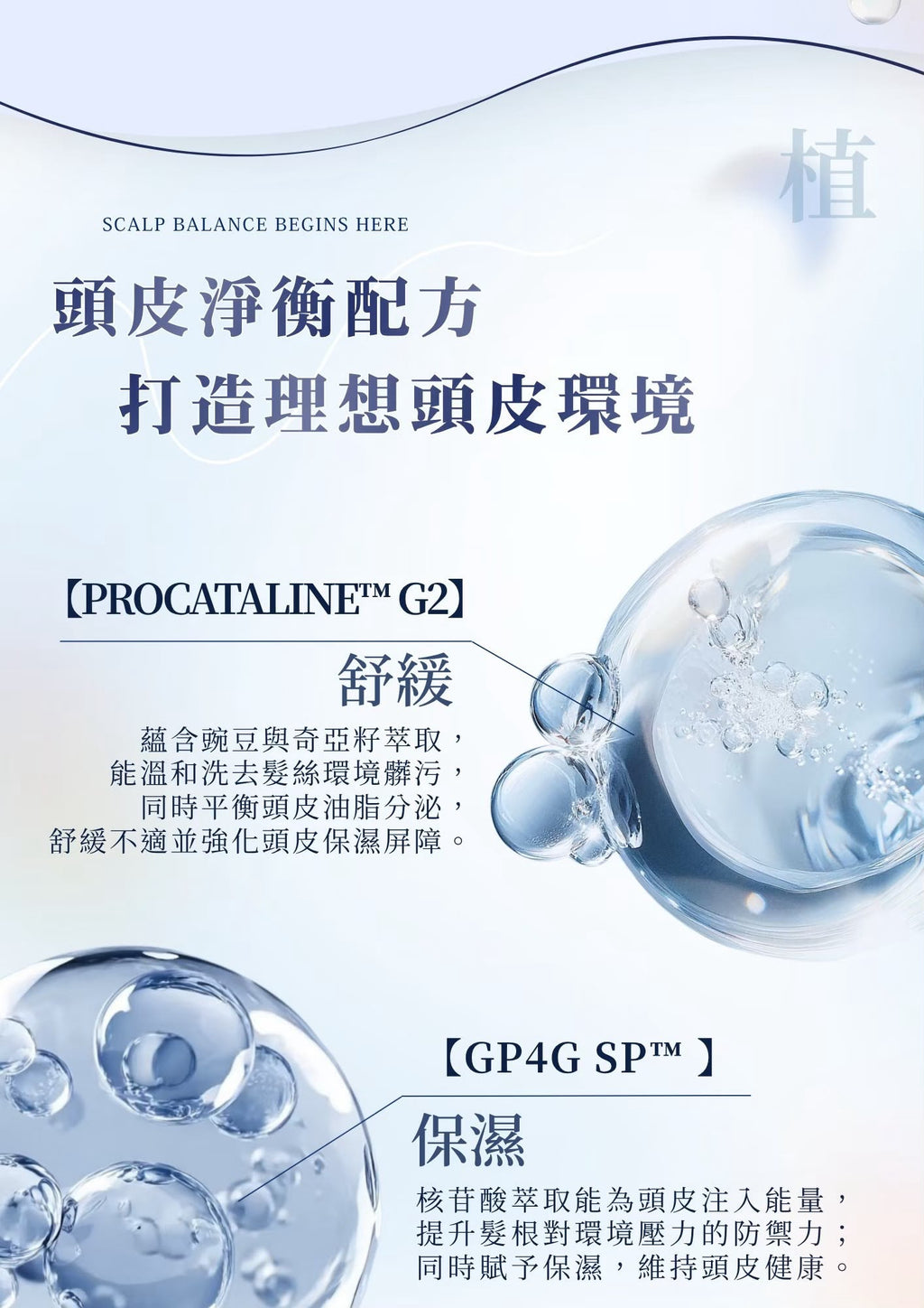 台灣鉑菲 Perfect Skin 頭皮淨衡精萃 50ml