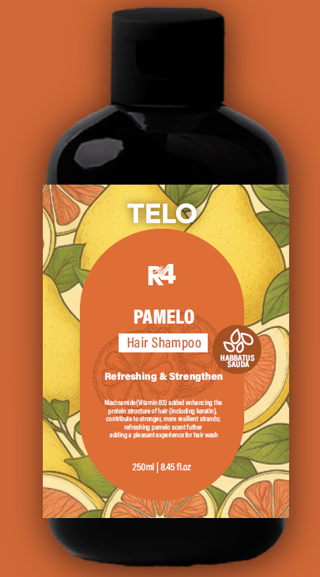 Telo R4 全面頭皮護髮系列All in OneTelo R4 柚子維他命B3洗髮素250ml*控油*
