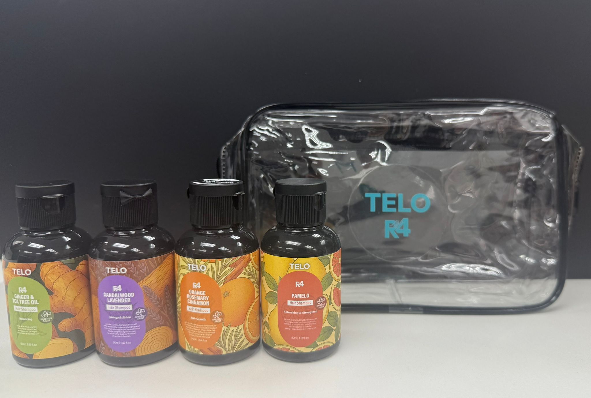 Telo R4 全面頭皮護髮系列All in One SET(共4款各一)